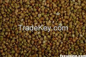 Buckwheat