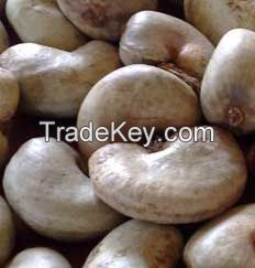 2016 Raw Cashew Nuts