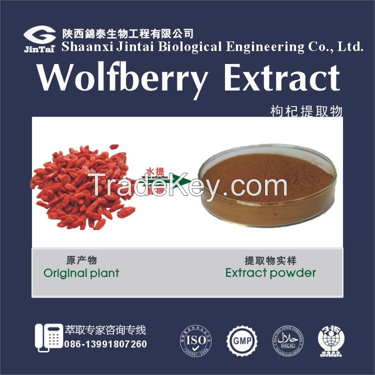 Manufacture Wolfberry Extract goji berry extract