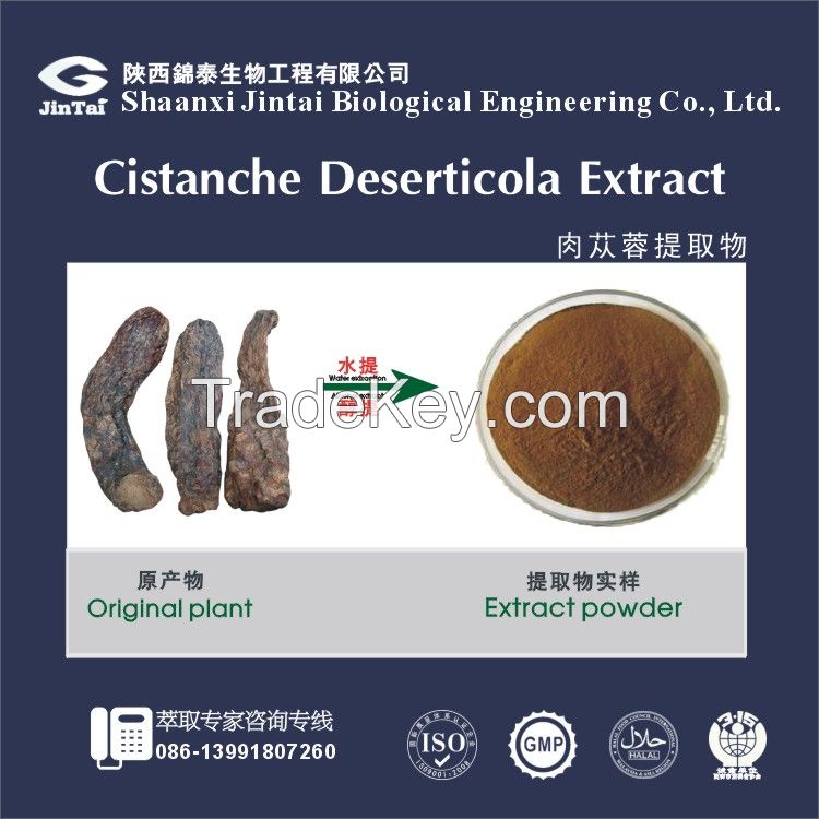 Tonify the kidney Cistanche Deserticola Extract