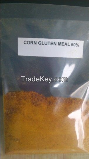 Corn Gluten Meal 60%