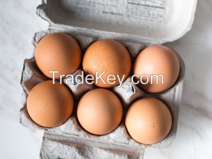 Best Quality Organic Fresh Chicken Table Eggs available