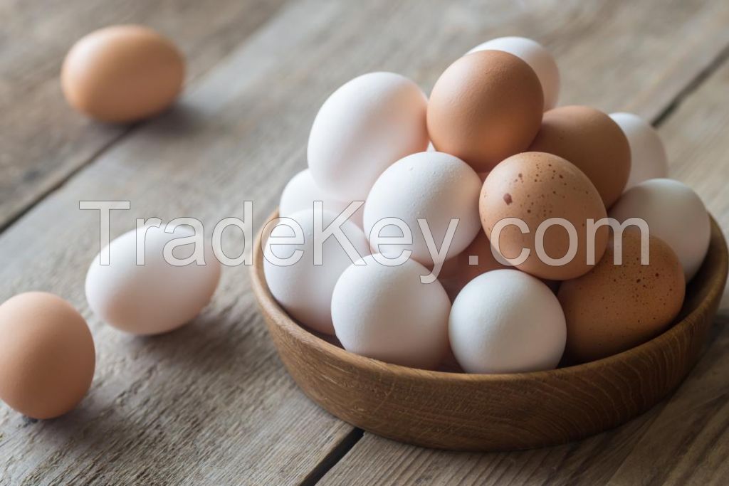 Best Quality Organic Fresh Chicken Table Eggs available