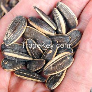 Factory price Sunflower Seeds 2021 crop for sale 