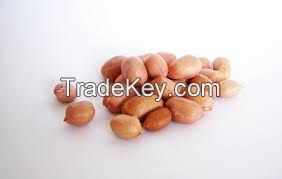 peanut seeds