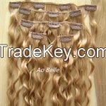 AB-CIH-013 Clip-in Hair Extensions