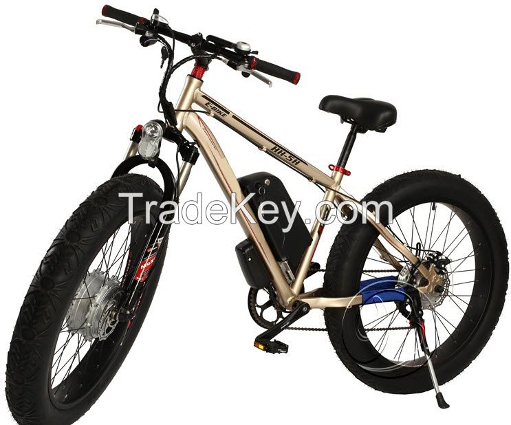 Double Battery E Bike/Brushless Motor 350W Electric bicycle