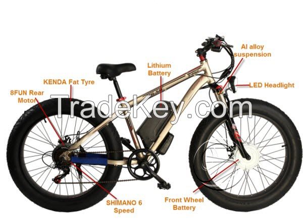 Double Battery E Bike/Brushless Motor 350W Electric bicycle