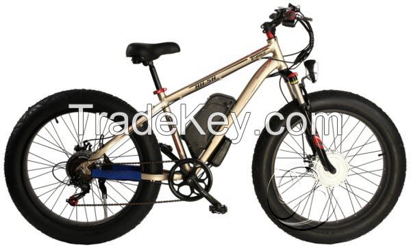 Electric Bicycles