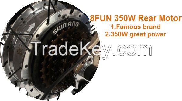 Wholesale Electric Bike CE Approved Fat Brushless Hub Motor Electric Bicycle