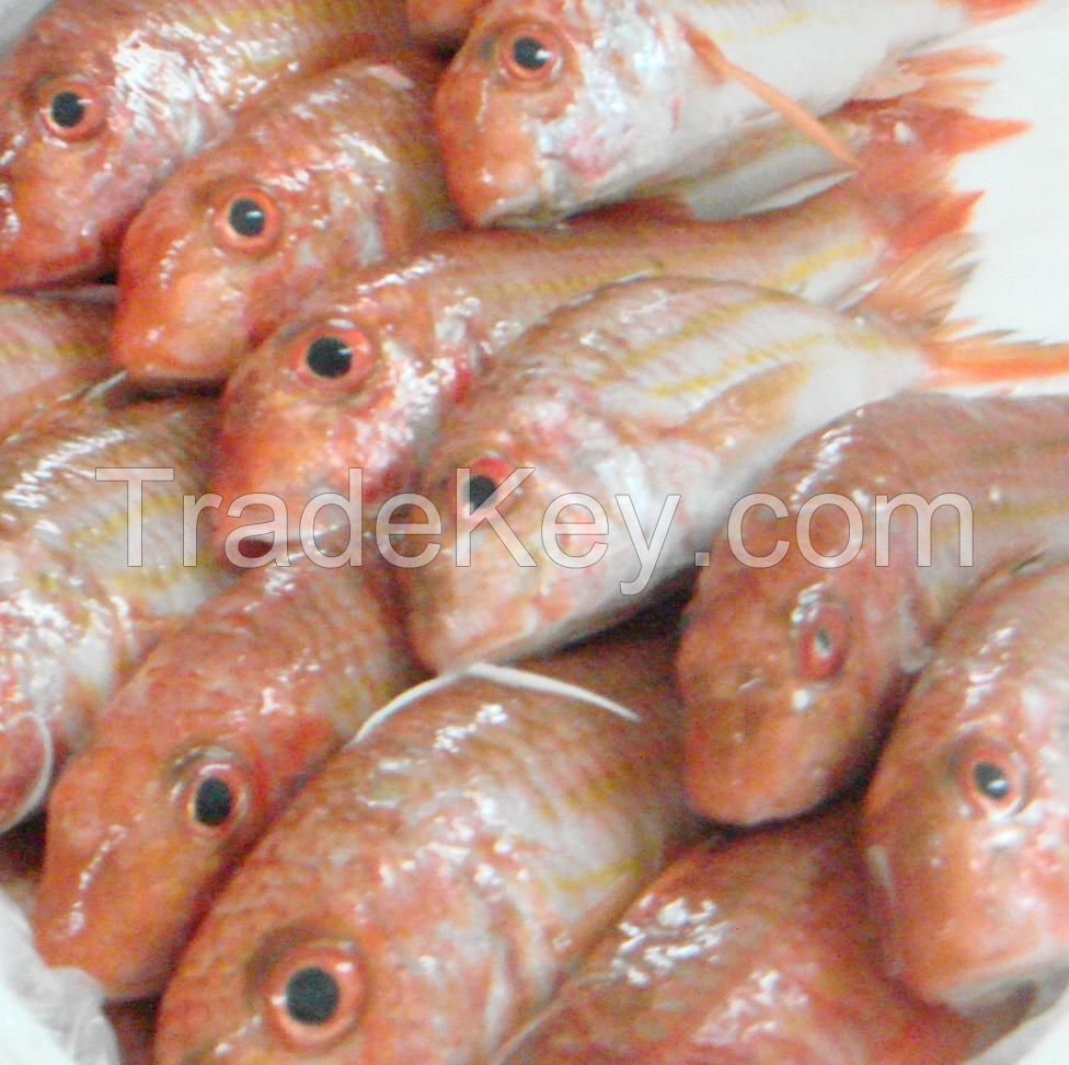 dried seafood fish