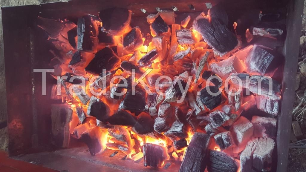 Oak charcoal