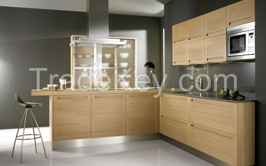 Modern Kitchen Cabinet