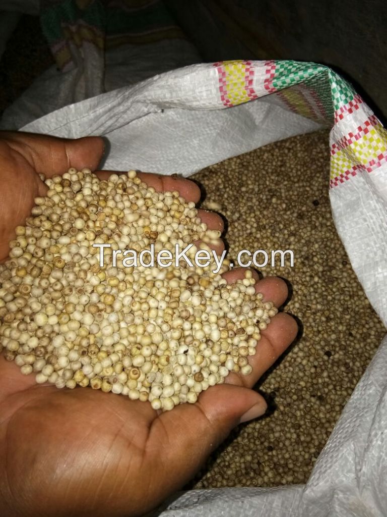 White Pepper High Quality