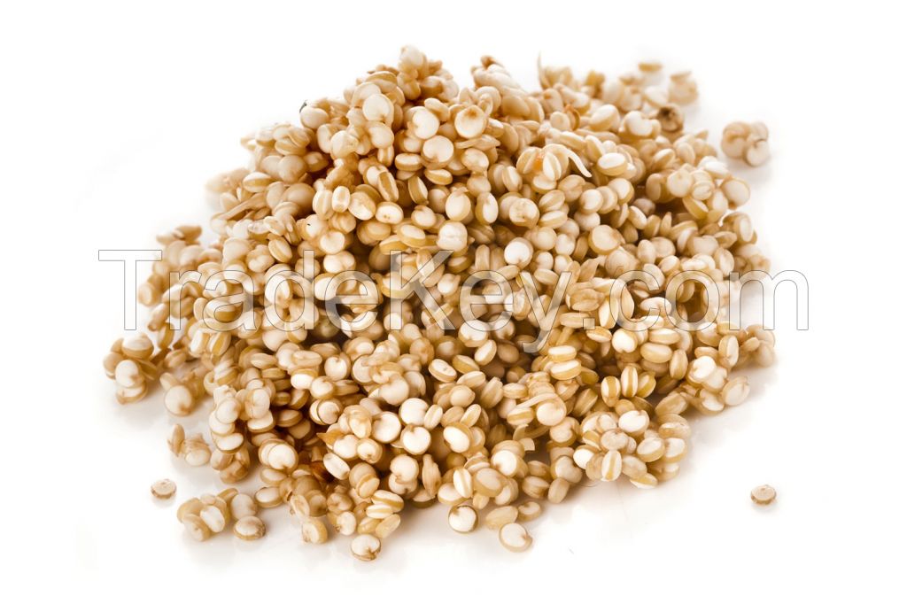 Organic White Quinoa