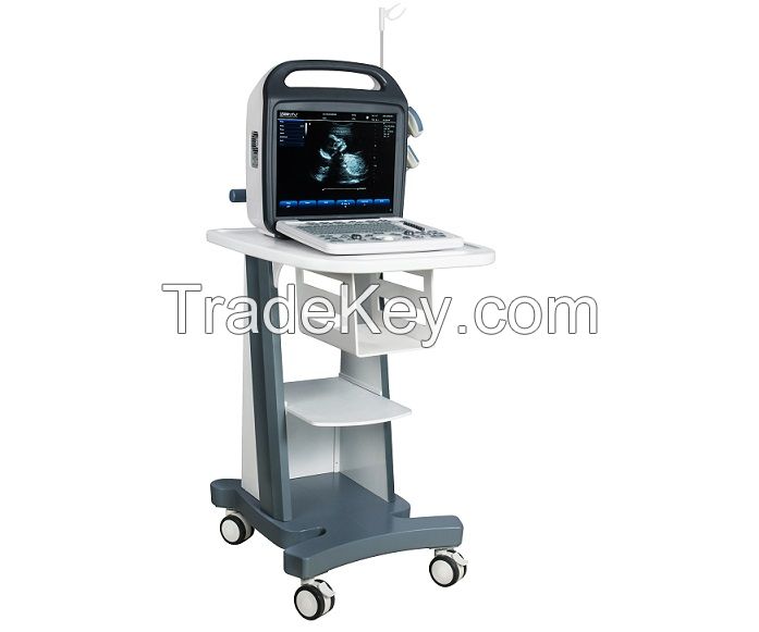 BCV60Portable veterinary ultrasound