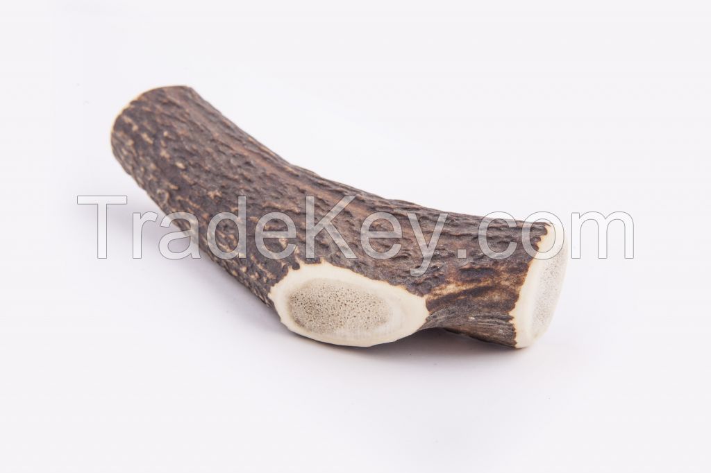 Antler Dog Chews