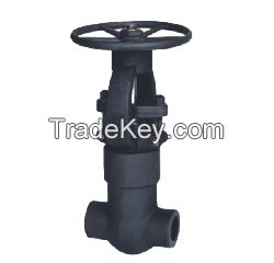 Forged steel gate valve