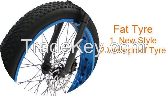 Electric bikes aluminium alloy frame 1000w motor and the blue rim handsome ebike