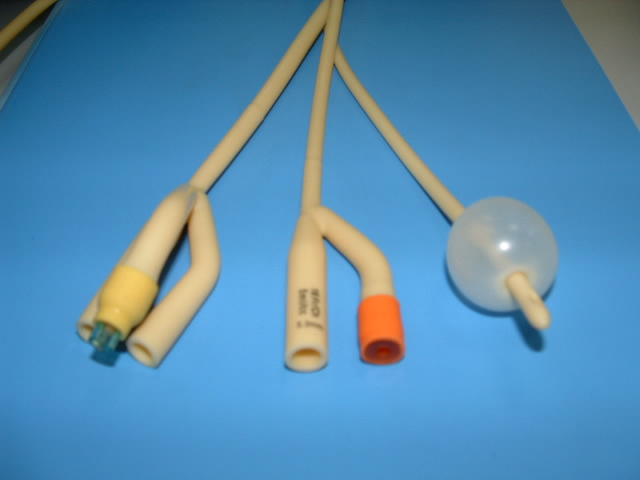 Foley catheter