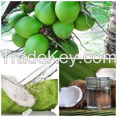 Coconut Brown Sugar, Coconut Brown Crystal Sugar, Virgin Coconut Oil