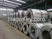 Stainless Steel Coil