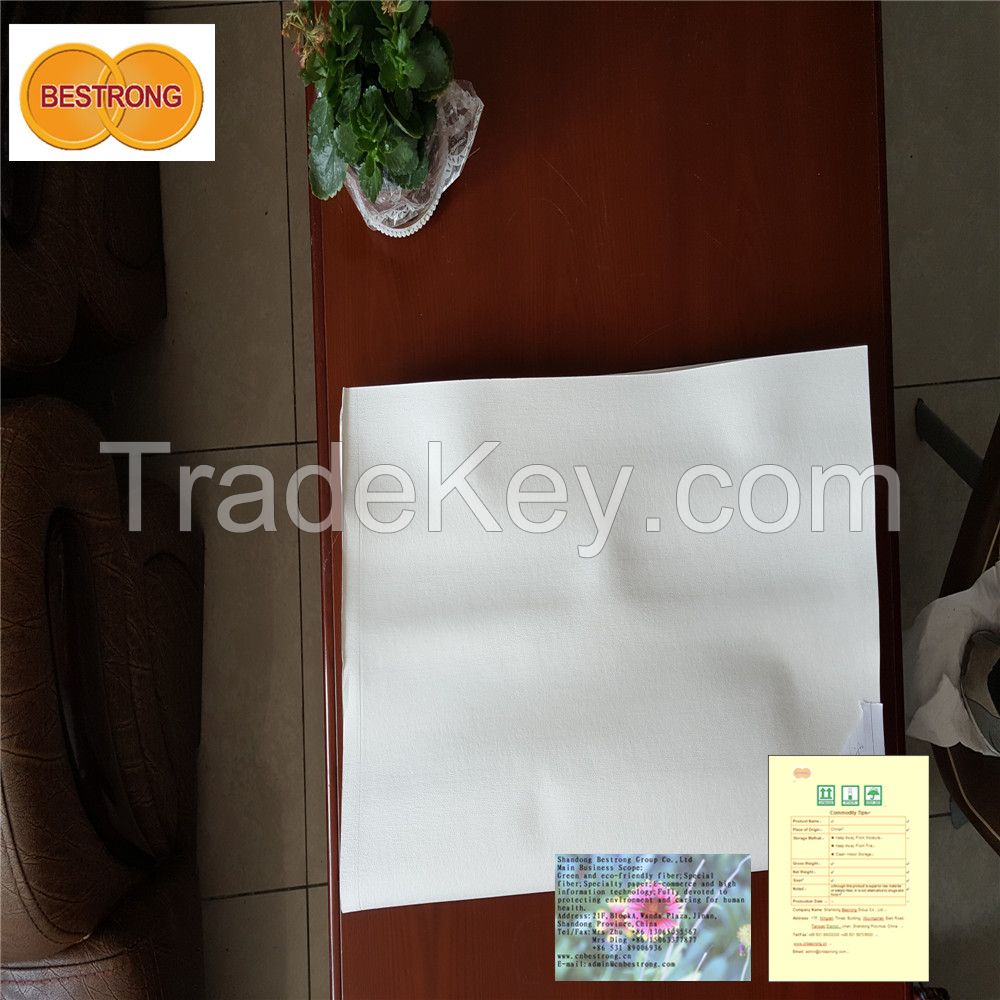 Food and Pharmaceutical Grade Bleached Bagasse Pulp