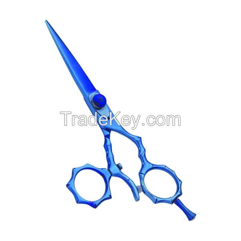 Hair Scissors