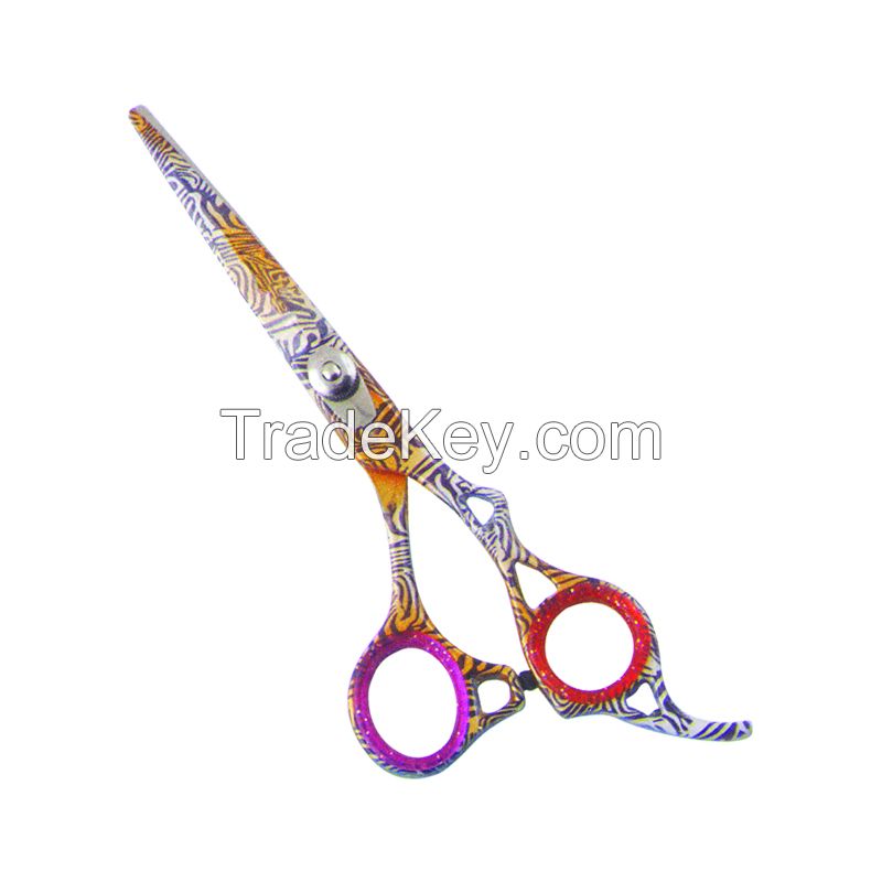 Hair Scissors