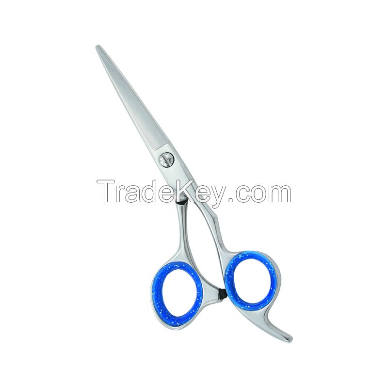 Hair Scissors