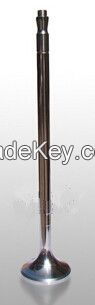 diesel engine intake valve