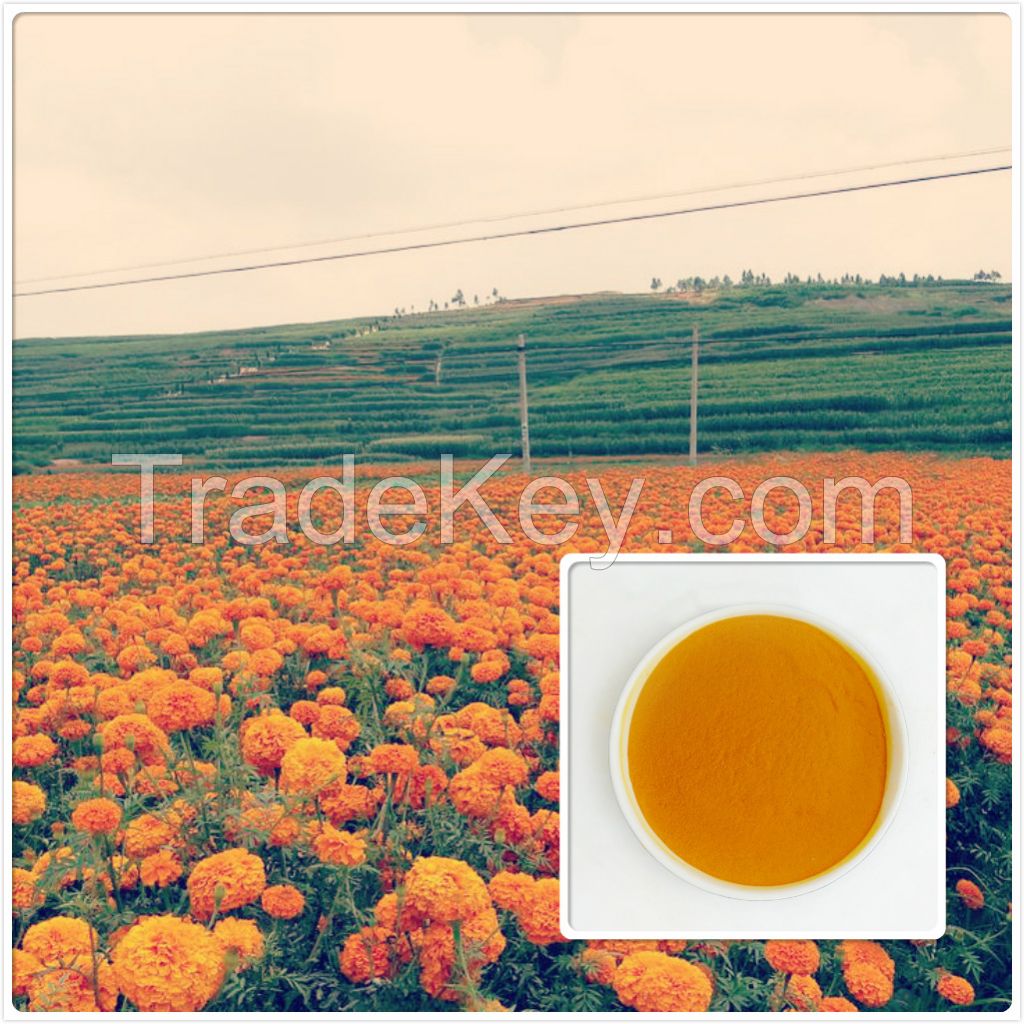 Xanthophyll Feed Grade