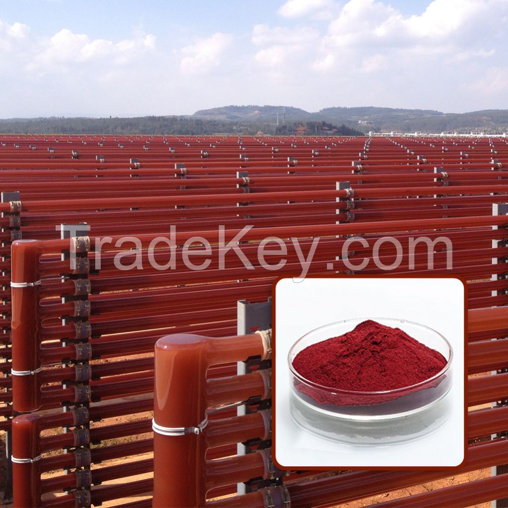 Astaxanthin Powder