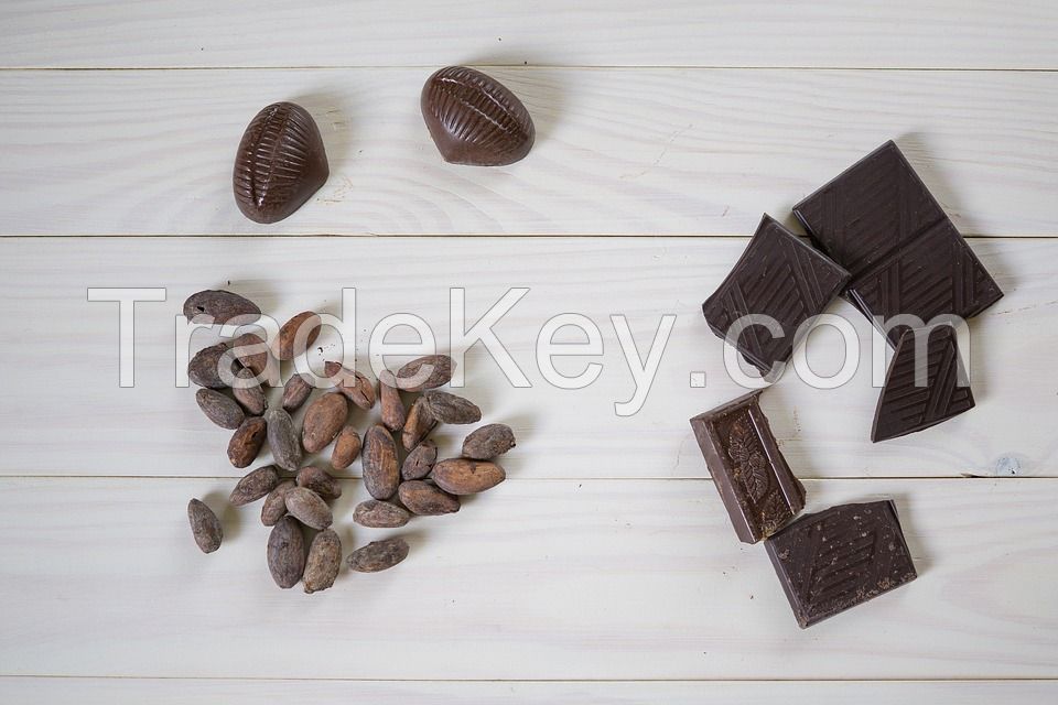 Cocoa Beans, Cocoa Powders and Cocoa Nibs Roasted