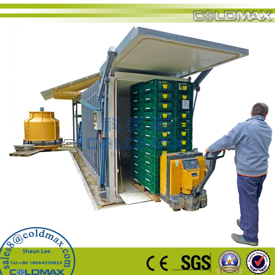 CE Certification Vegetable fast cooling machine