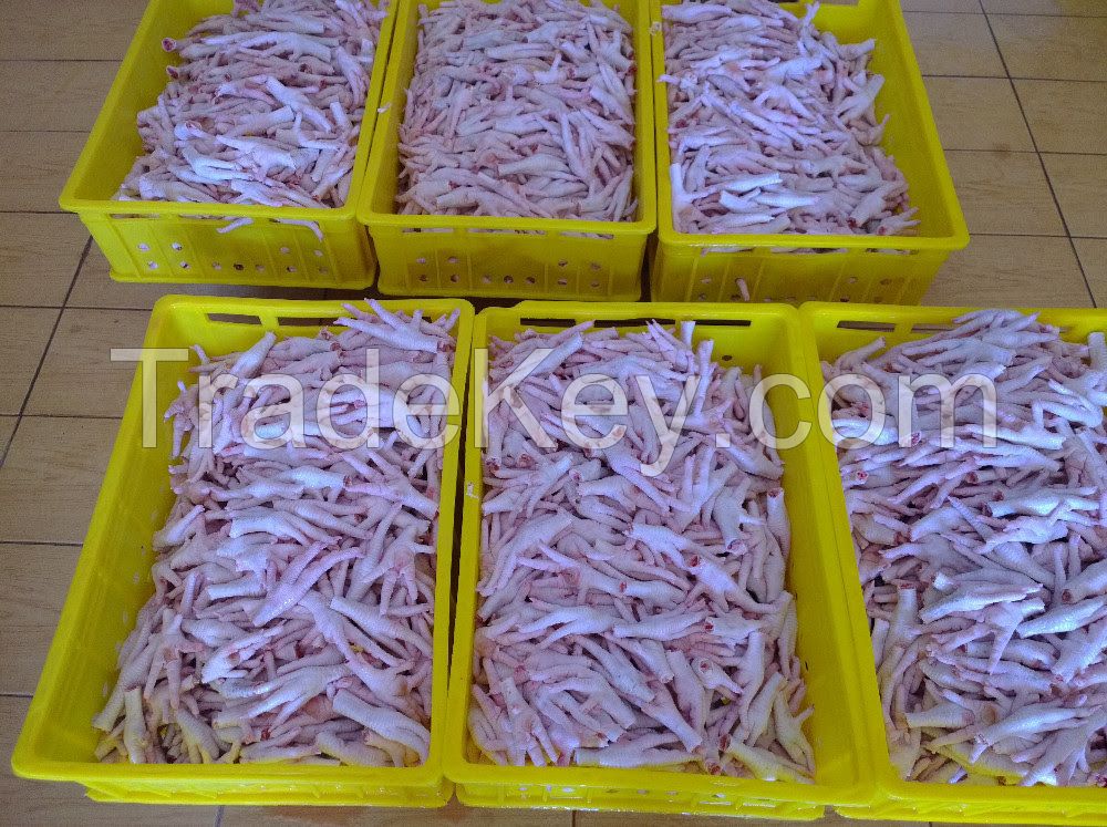 ISO, HACCP A Chicken Feet / Frozen Chicken Paws From Brazil 