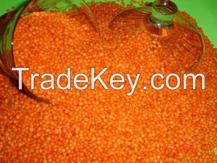  Green, Red and brown Lentils yellow lentils grade A for sale 