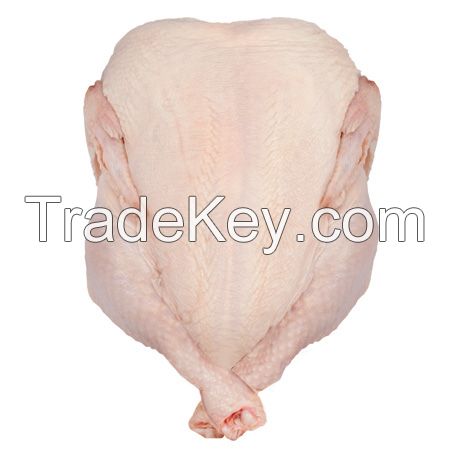 BRAZIL HALAL FROZEN WHOLE CHICKEN, FROZEN CHICKEN PAWS FROZEN PROCESSED CHICKEN FEET...