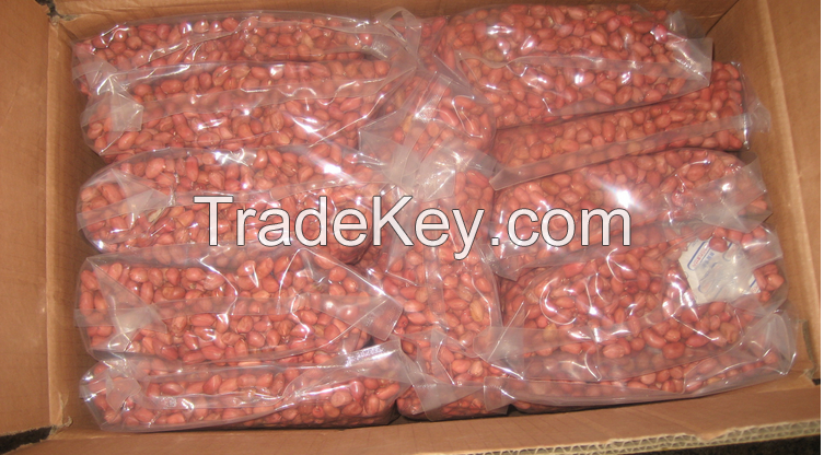  Raw Peanuts in Shell 9-11,11-13 Specification from USA AND AFRICA 