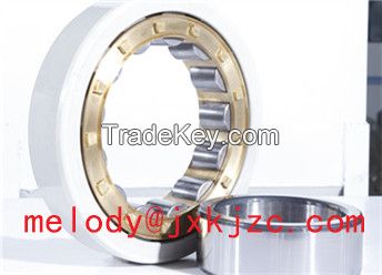 NU1024ECM/C3VL0241 Insulated bearing