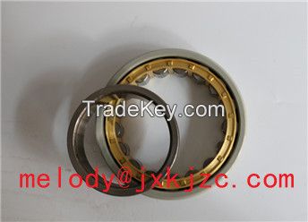 NU1019ECM/C3VL0241 Insulated bearing