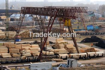 wooden impregnated poles for power transmission and electrical communication lines