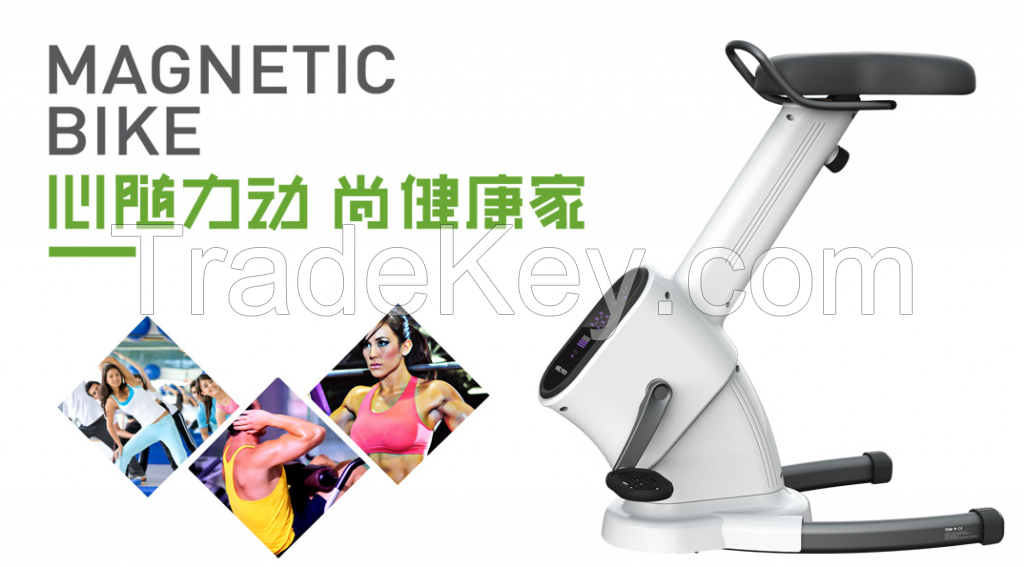 2016 New Home Gym Magnetic Exercise Bike