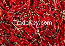 Dry Chilli Red Pepper