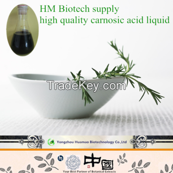 Rosemary Extract Carnosic Acid