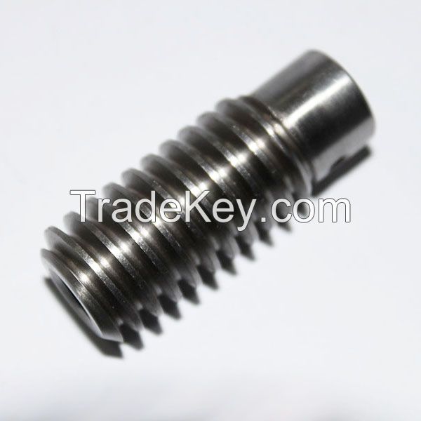 Customized Stepped Motor Worm Gears Assembly