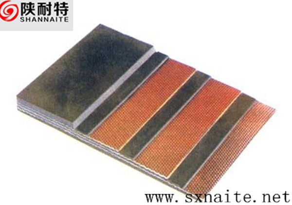 Nylon Conveyor Belt made in china 