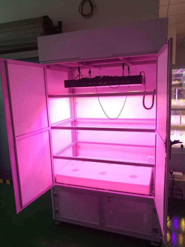 Hydroponic grow cabinet