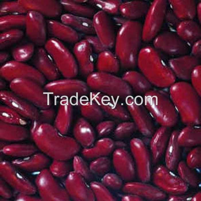 Top Quality New Crop Red Kidney Beans