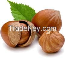 New Crop Hazelnuts For Sales 